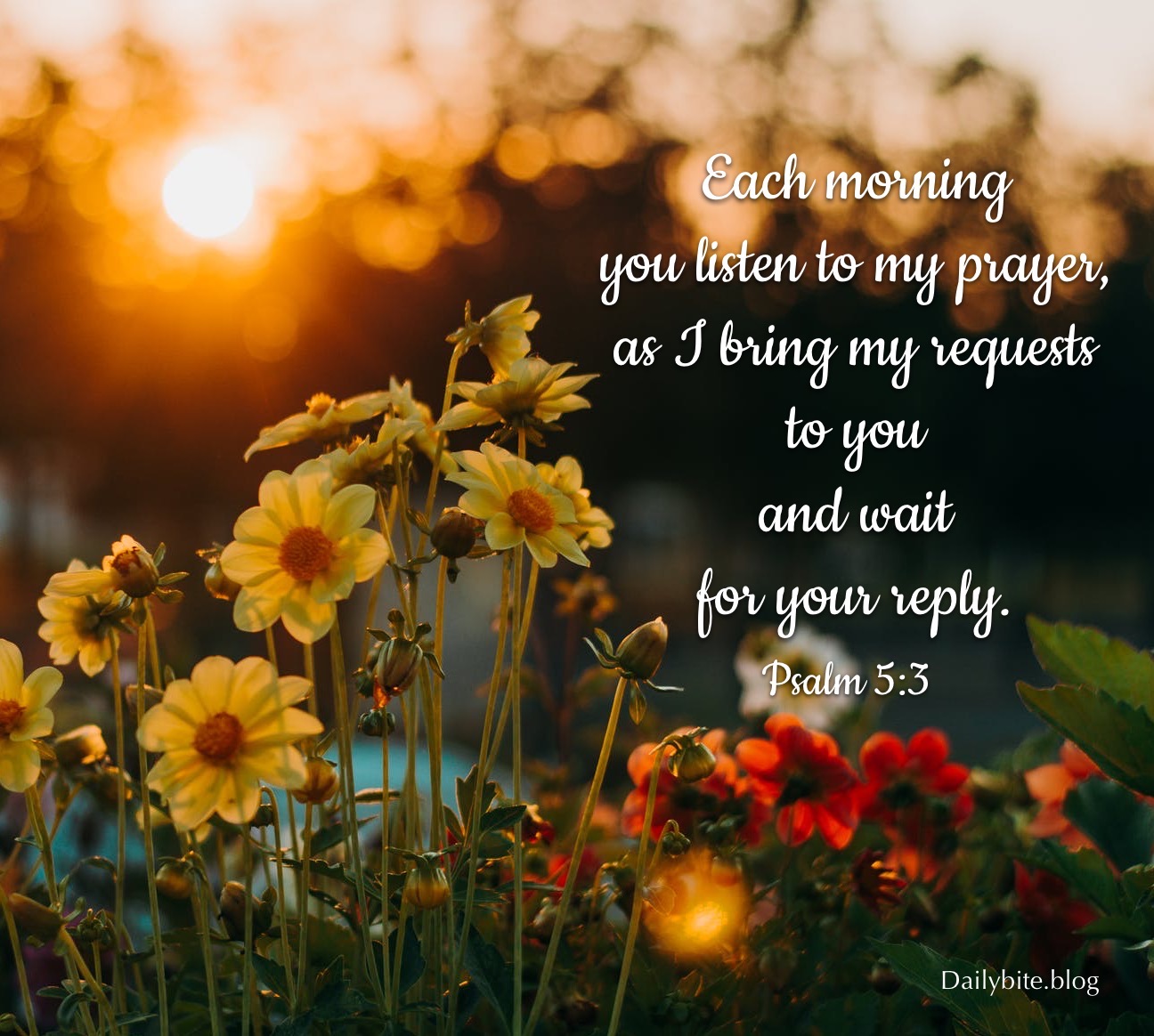 Day 5, Psalm 5 | Daily Bite